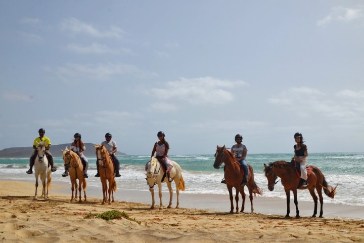 a group of people riding a horse on a beach