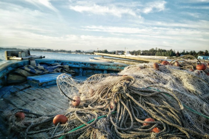 Fishing nets piled on a wooden boat with a scenic water and sky background.