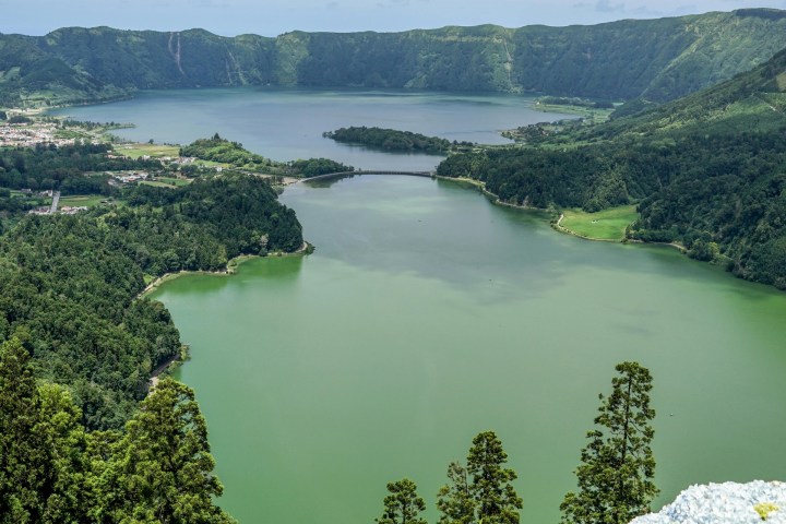 A scenic lake view with hydrangeas in the foreground and green hills under a cloudy sky.
