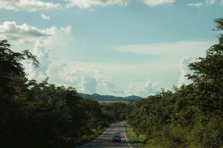 Car driving on a road surrounded by trees under a sky with fluffy clouds.