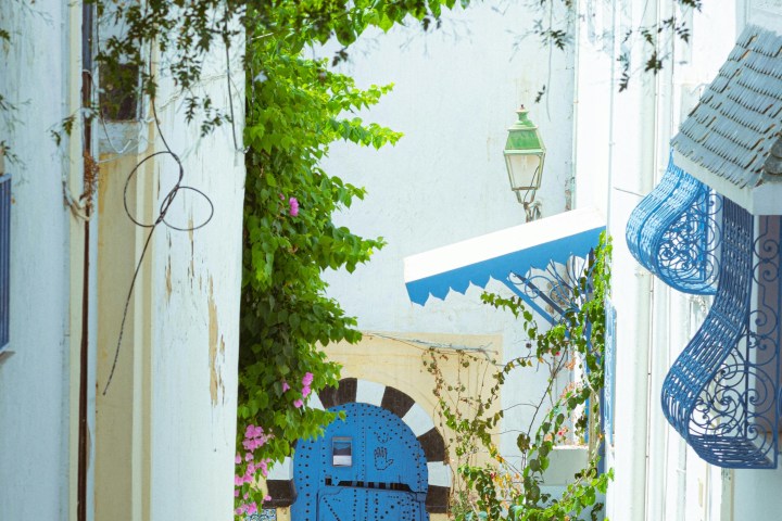 Narrow alley with a blue ornate door, vines, and white walls.